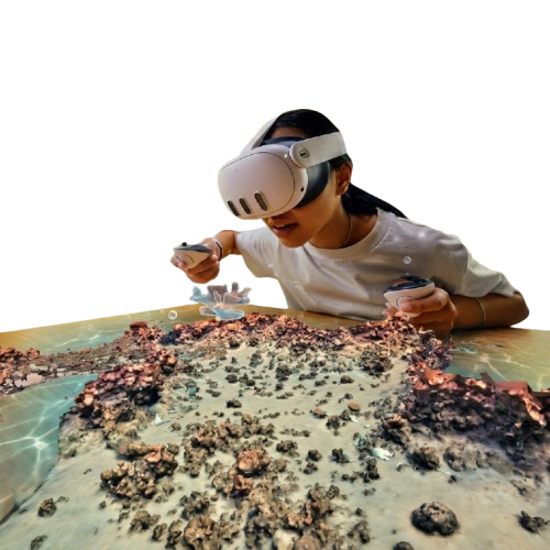 A person in a VR headset exploring a 3D coral-reef digital twin